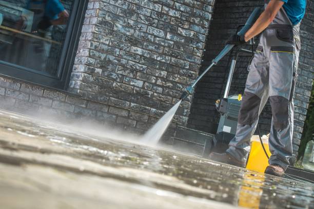 Best Driveway Pressure Washing  in Chatham, IL