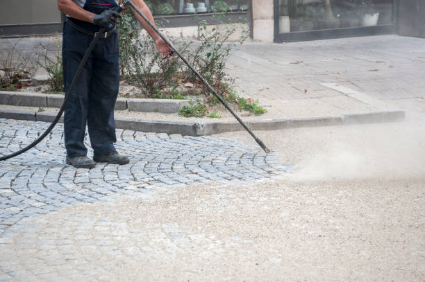 Best Warehouse Cleaning  in Chatham, IL