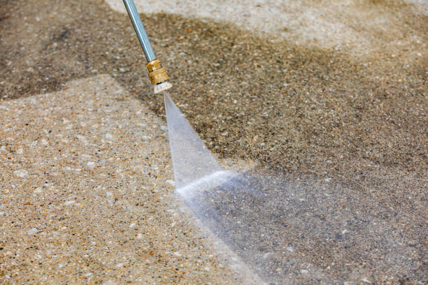 Best Boat and Dock Cleaning  in Chatham, IL